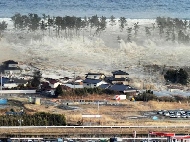 Mass panic in Hawaii as tsunami sirens blare; Trump breaks silence on massive quake