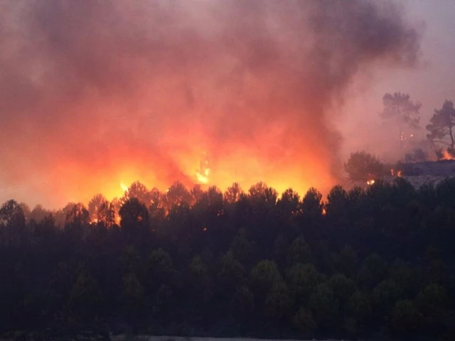 Hundreds evacuated as wildfires sweep Turkey's Canakkale province