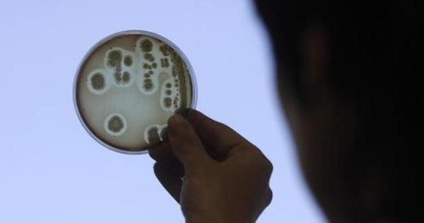 Super typhoid threat looms: experts raise alarm