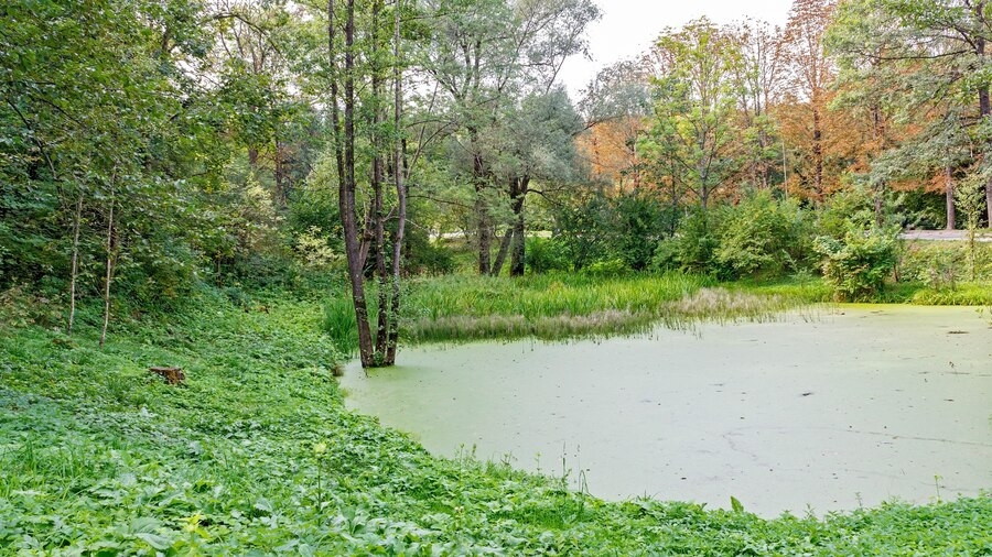 Govt plans 400 floating wetland ponds for water conservation