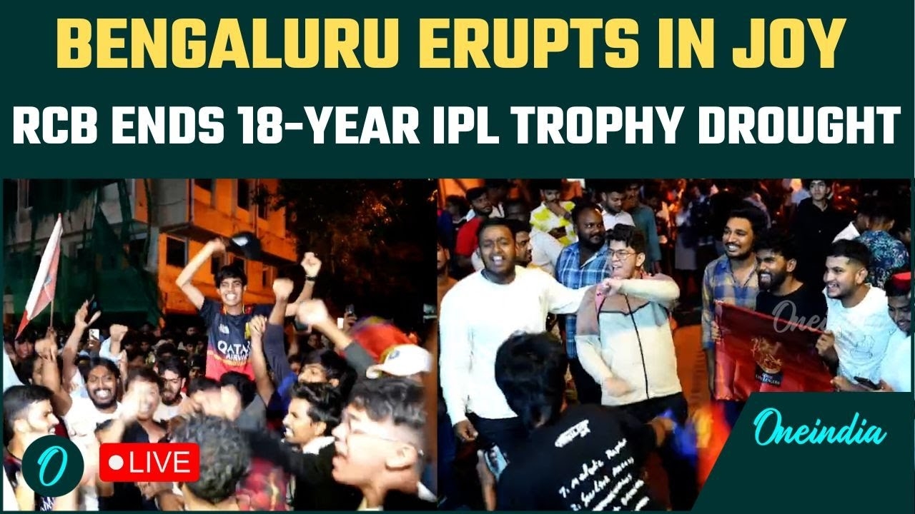 Royal Challengers Bengaluru Secure First IPL Title After Thrilling Final