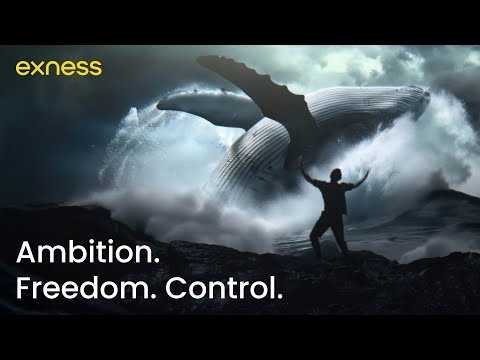 Exness launches bold new global campaign, putting traders at the heart of the story