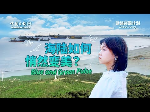 Carbon Journey: Blue and Green Pulse