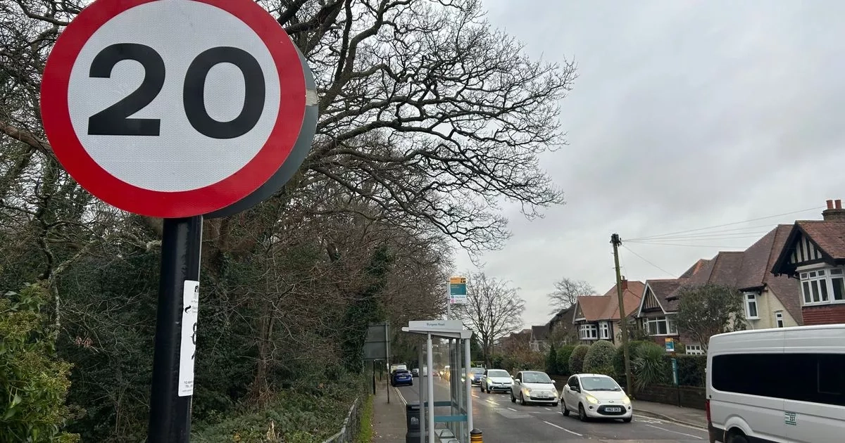 Slapping tourist with 20mph speeding ticket branded 'lunacy' by some but welcome by others
