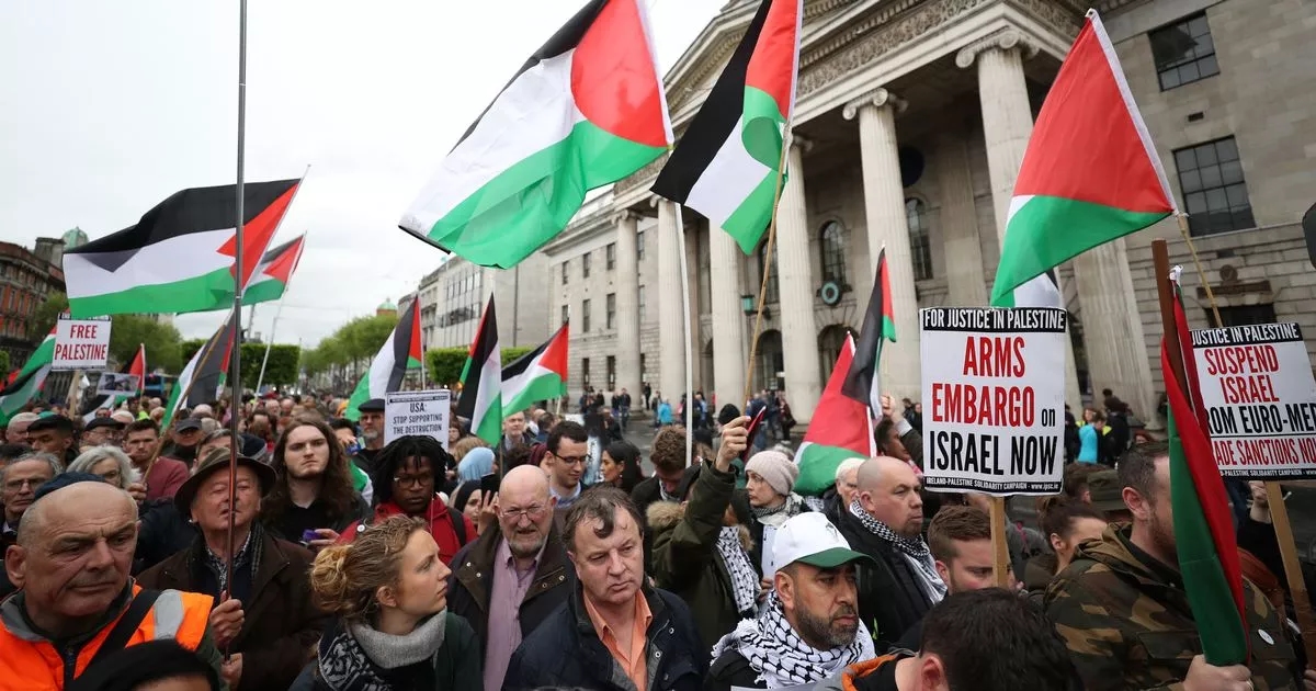 Thousands take part in pro-Palestinian rally in Dublin