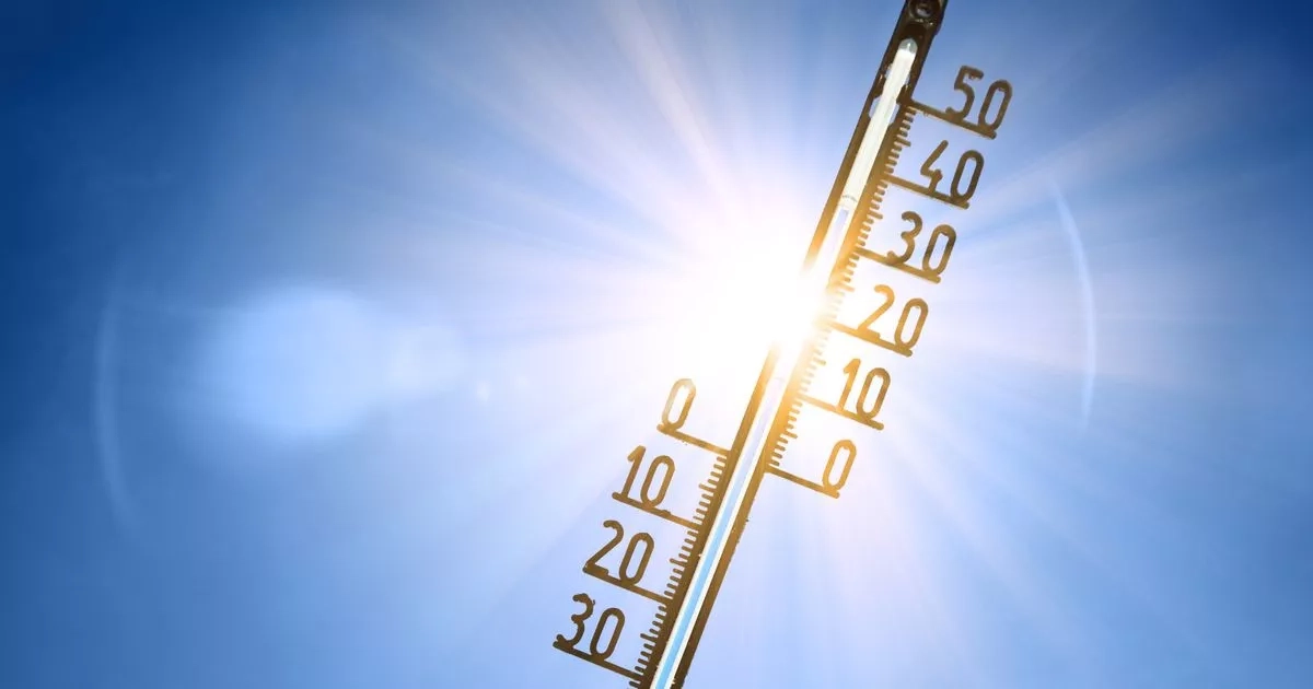 Boy, 3, dies after being left in car in scorching 31C temperatures