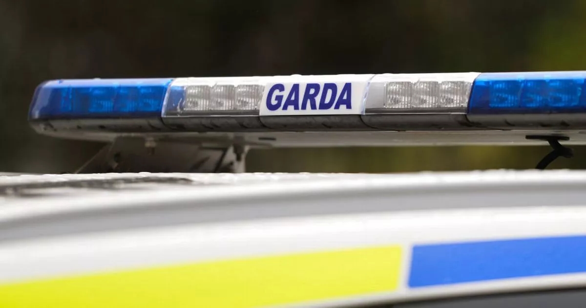Gardaí deploy stinger device in high-speed chase of cocaine-fuelled driver