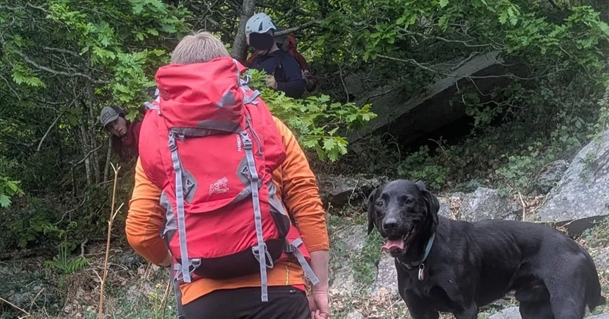 Walker lost on Gwynedd hill with 'significant' leg cuts rescued