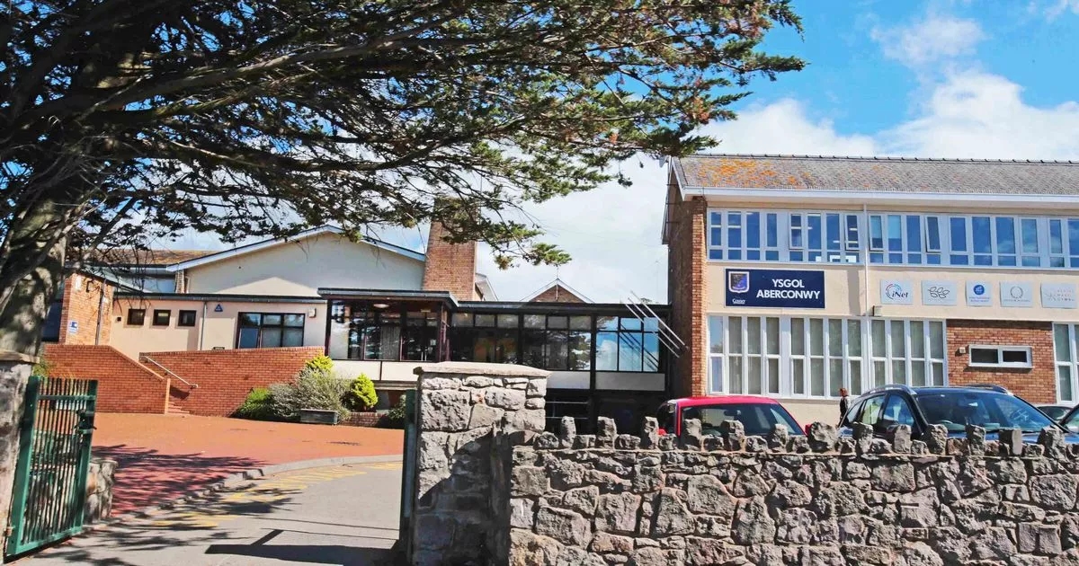 'Autistic children are being failed. My son is traumatised by his school experience'