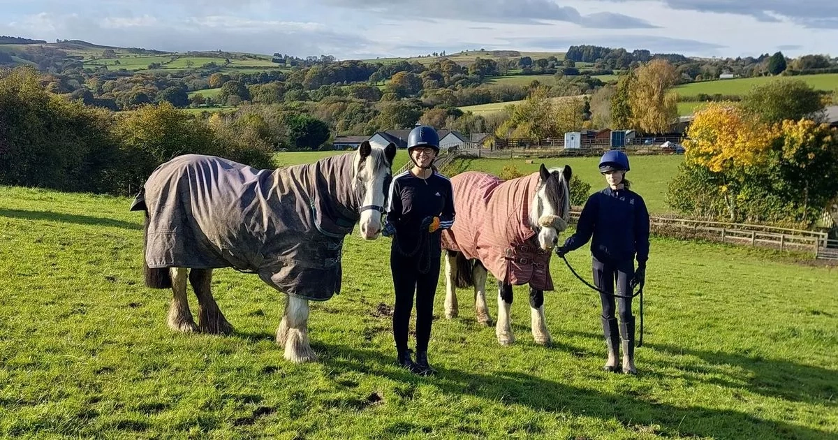 North Wales riding centre says will close in days unless emergency funds are secured