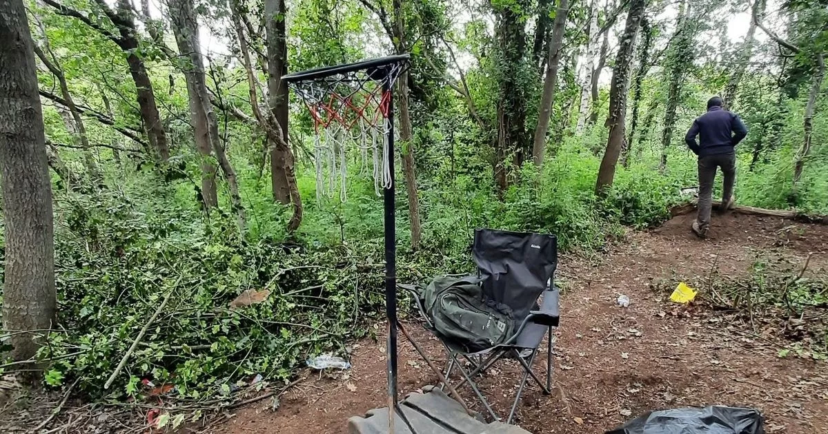 What police found in protected woodland in North Wales has divided opinion