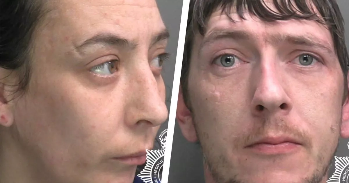 Couple jailed after Akita dog leaves toddler with 'truly breathtaking' injuries