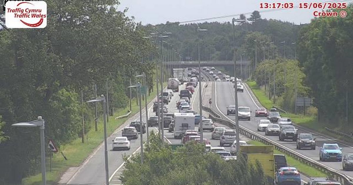 Live A55 updates as 'warning' over heavy congestion