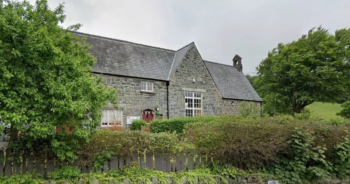 Controversial school closures suggestion sparks 'mega school' call
