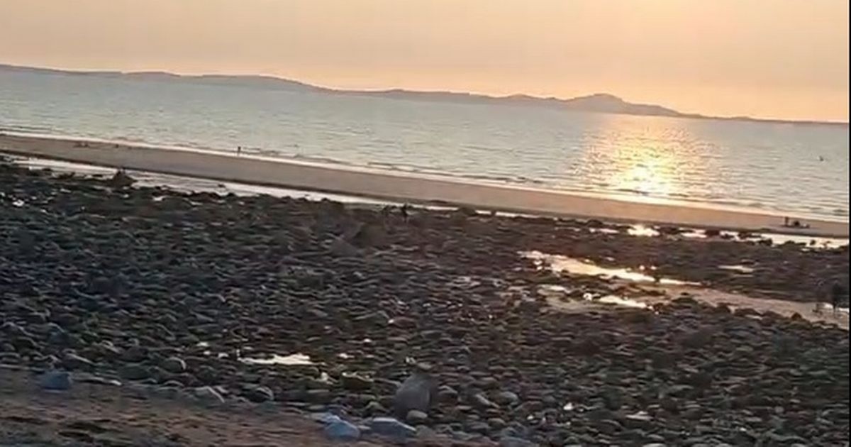 Illicit history behind 'secret' and often hidden beach and why there's tracks to it
