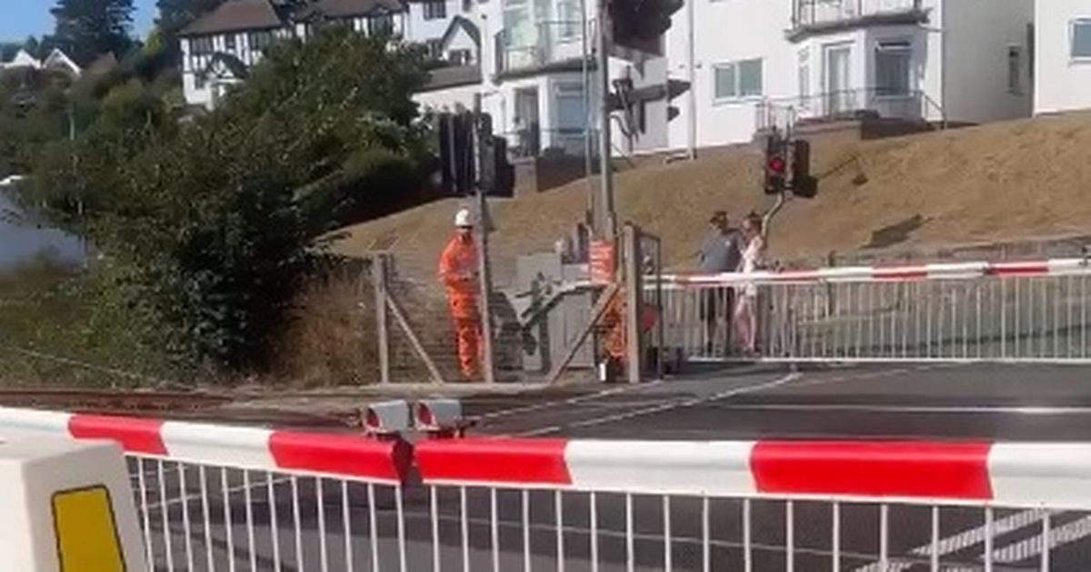 Drivers trapped at hotel and marina for nearly two hours after Mercedes hits railway crossing gate