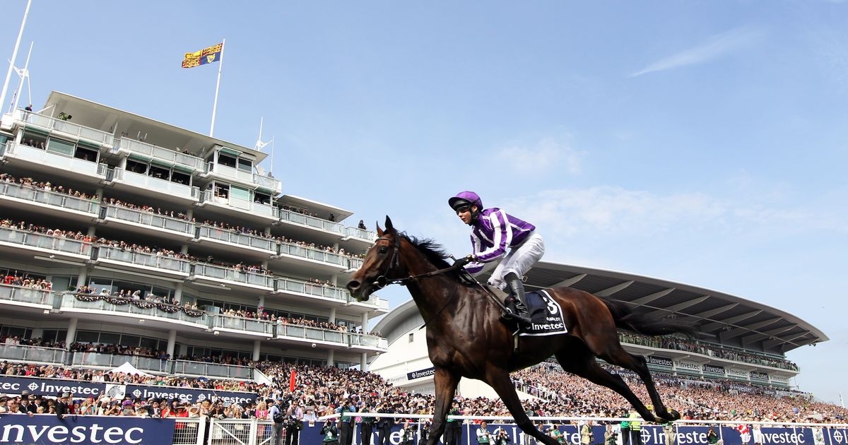 Derby and Epsom tips and best bets as Ballydoyle ace fancied for Classic triumph