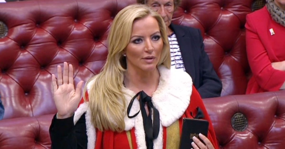 David Cameron 'lost the plot' by making PPE scandal tycoon Michelle Mone a Tory peer