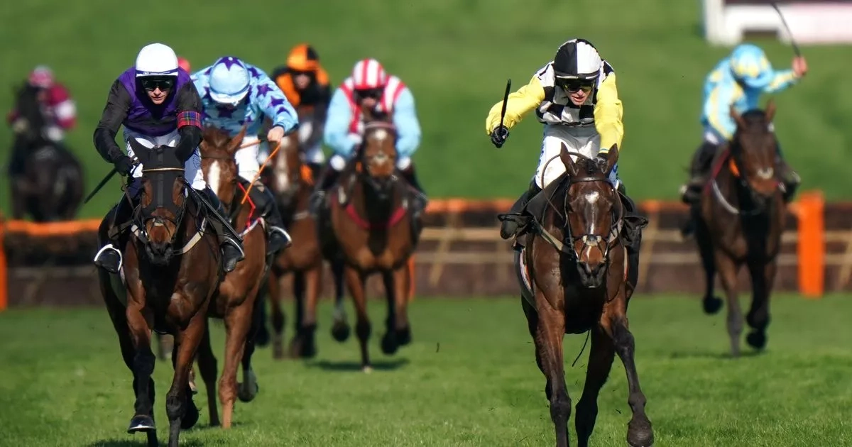 I'm an Irish Grand National jockey riding a 50/1 shot but I really fancy the second favourite to win at Fairyhouse