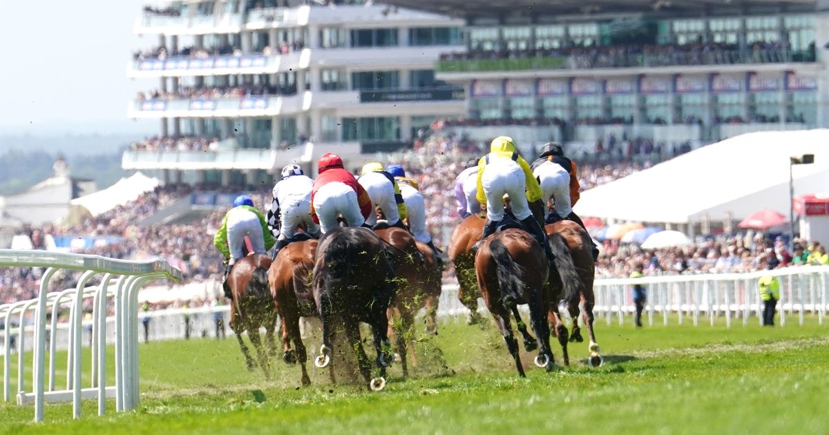 Staggering Epsom Derby figures show global pull of Classic