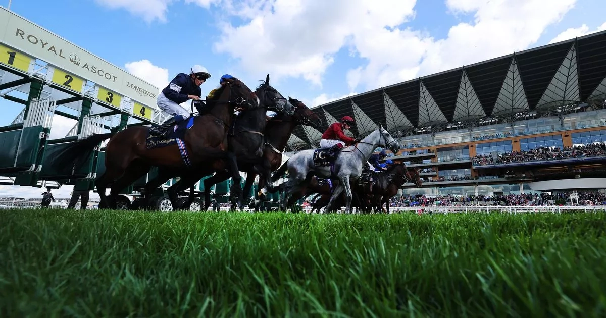 Royal Ascot 2025 runners and riders in full plus prize money for Day 1