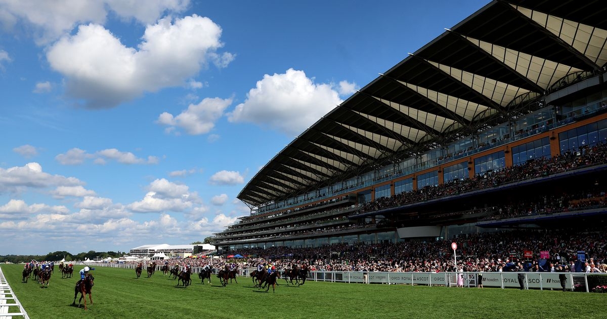 Royal Ascot 2025 Day 1 tips and best bets as Sardinian Warrior napped for glory