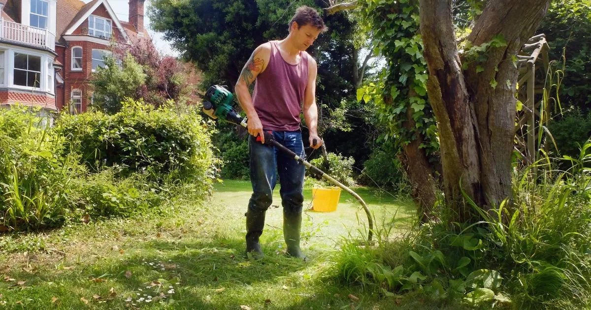 Amazon cordless strimmer is 'light but powerful' and is reduced by £30 now