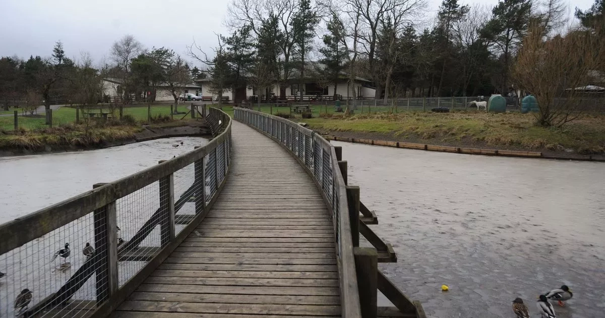 Charity's show garden will be relocated to Cumbernauld park following appearance at Chelsea Flower Show