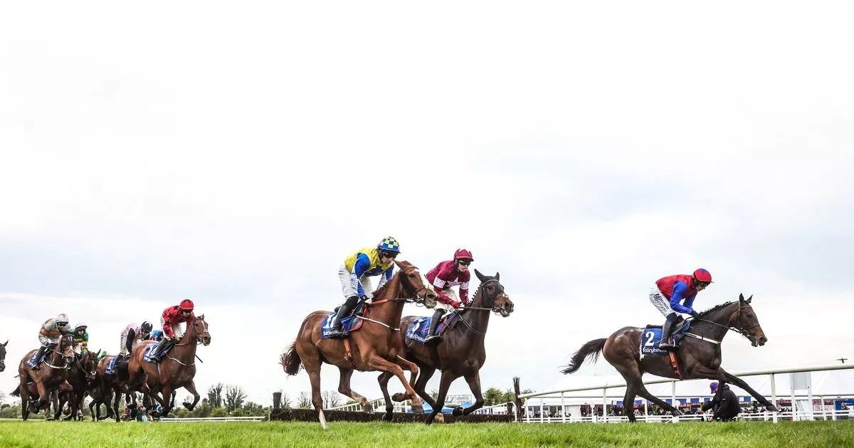 Irish Grand National 2025 results in FULL as Haiti Couleurs wins for Britain to deny Willie Mullins historic treble