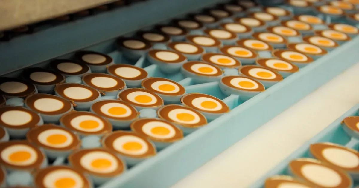 Healthy food responsible for yellow colour of Creme Egg yolks