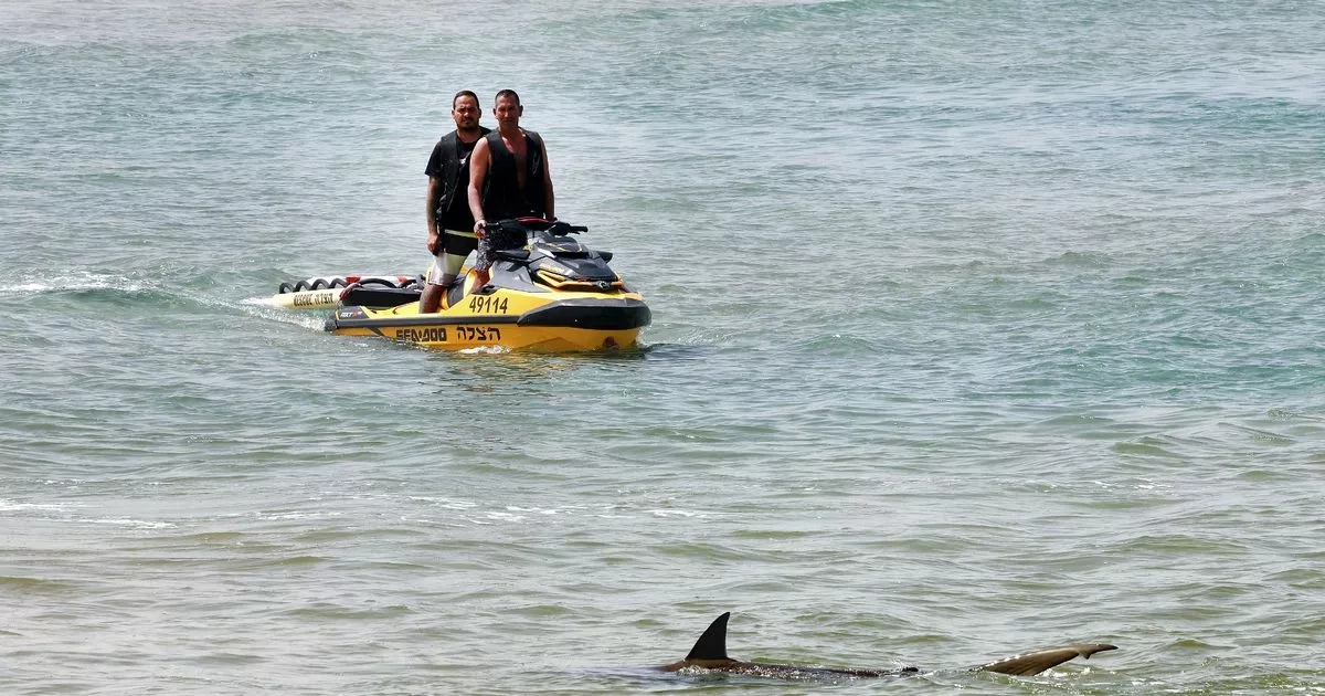 Victim of rare shark attack while snorkelling confirmed as dad-of-four