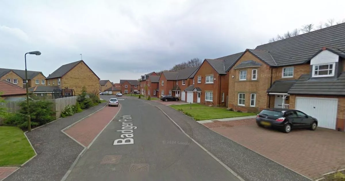 BMW stolen after thieves target Scots home in late-night robbery