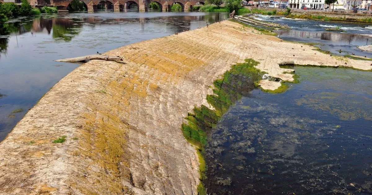 Alert issued over low water levels in two Dumfries and Galloway rivers