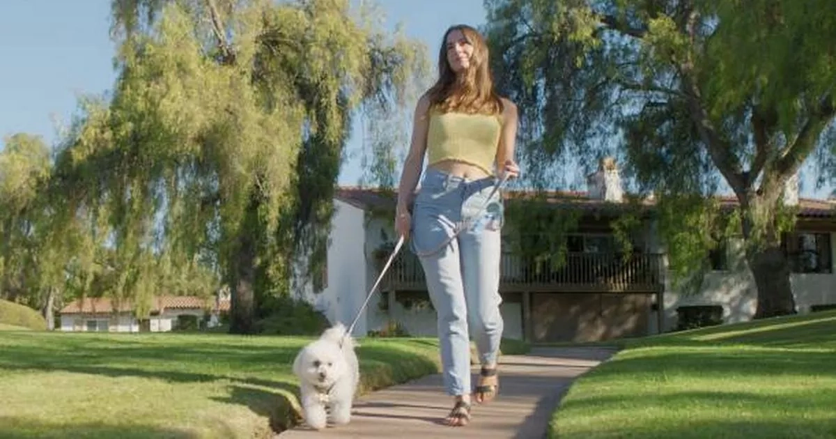 All dog owners should know the 7 second rule to protect their pet in the heat