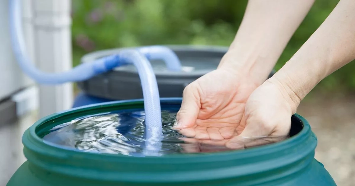 Twenty-three North Lanarkshire schools to benefit practical sustainability water usage initiative