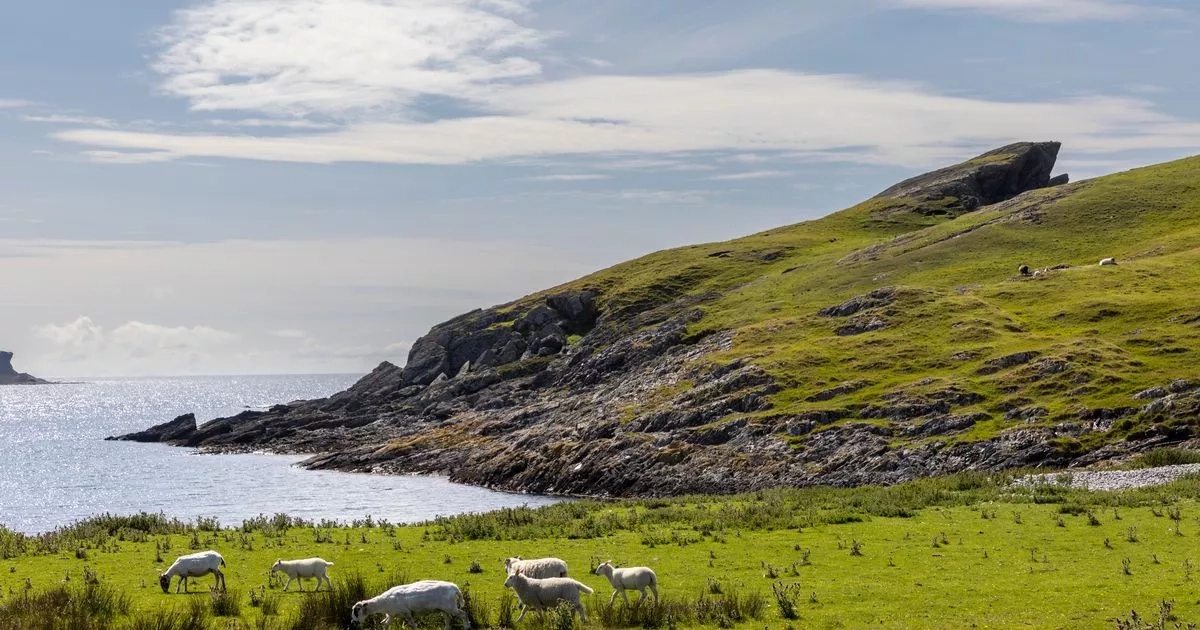 Business on remote Scottish island with only 120 residents being given away for free