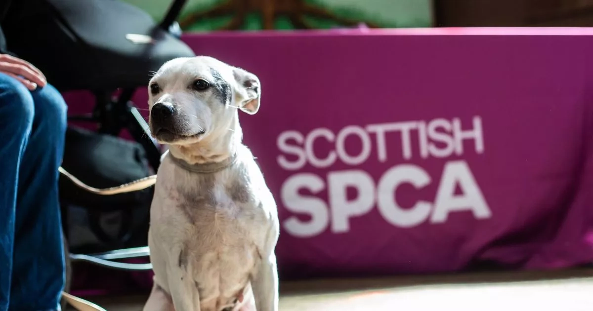 Scottish SPCA's Pet Aid campaign comes to Ayrshire