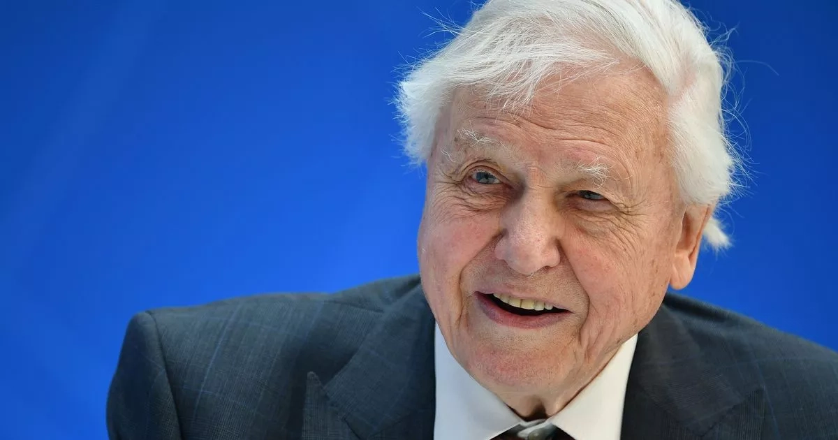 David Attenborough's world turned upside down by tragic phone call
