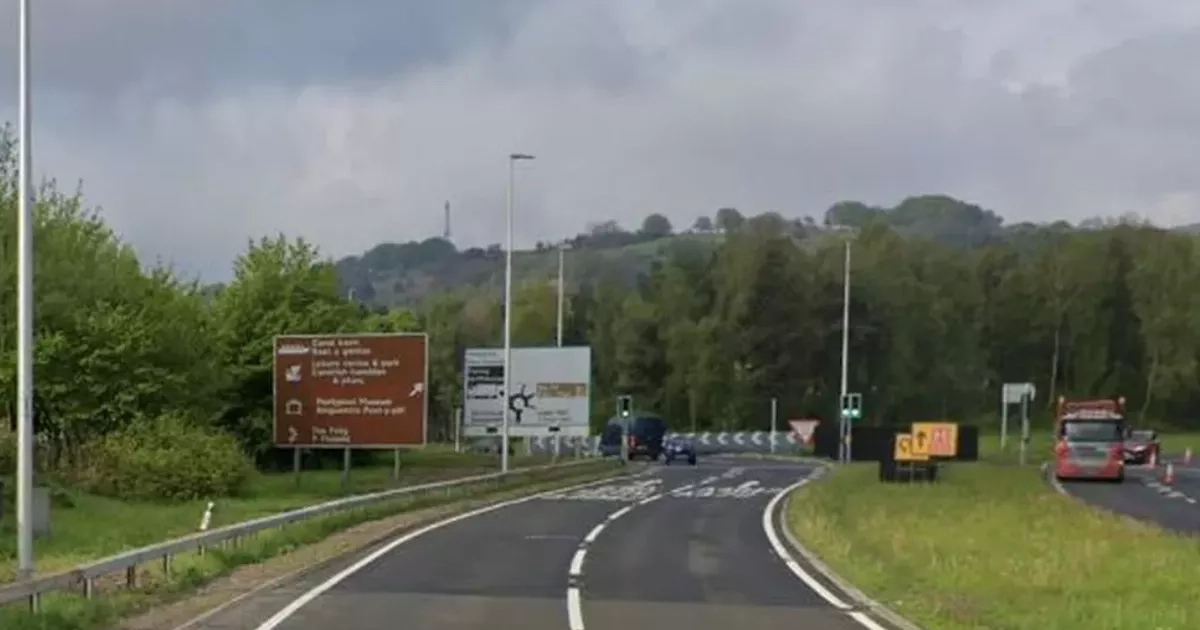 Husband whose 'life was nothing' without wife dies months after she was killed in crash