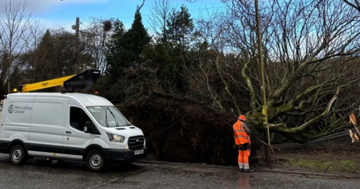 West Lothian still clearing away damage from Storm Eowyn four months on