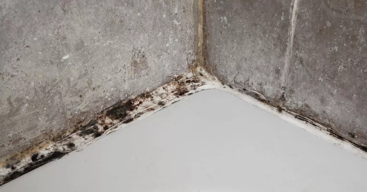 Stacey Solomon's £1 hack gets rid of mould on your bathroom sealant