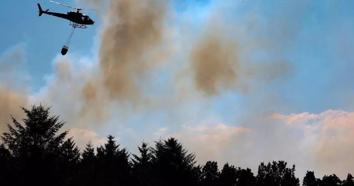 Extreme warning for wildfires issued by fire chiefs as dry spell continues