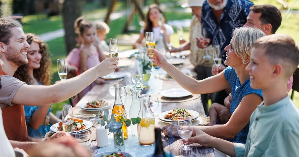 Lidl's £10 garden gadget will help keep insects away this summer