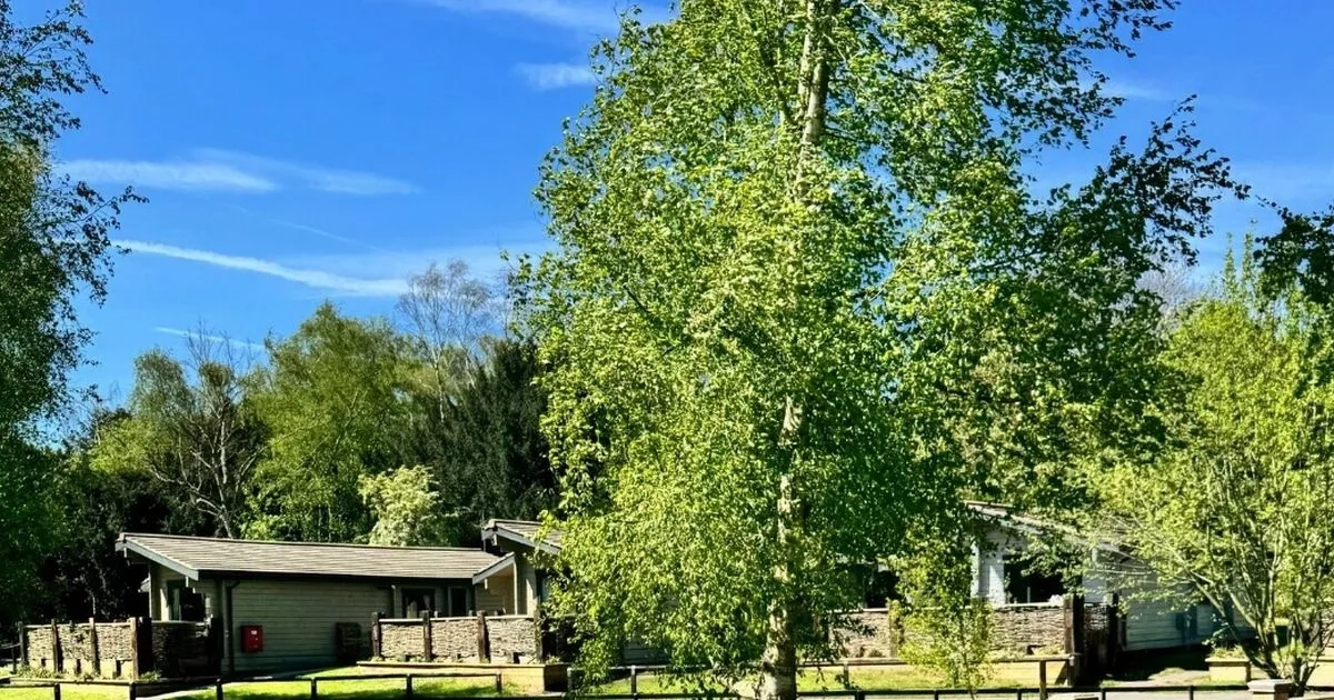 Mum shares perfect 'Center Parcs alternative' that's cheaper and inspired by Robin Hood