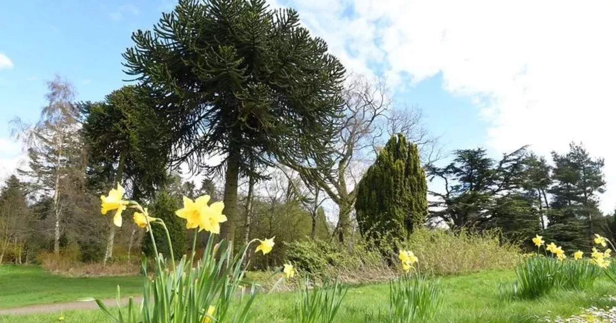 Fewer cuts for West Lothian grassland as council opts for low maintenance plan