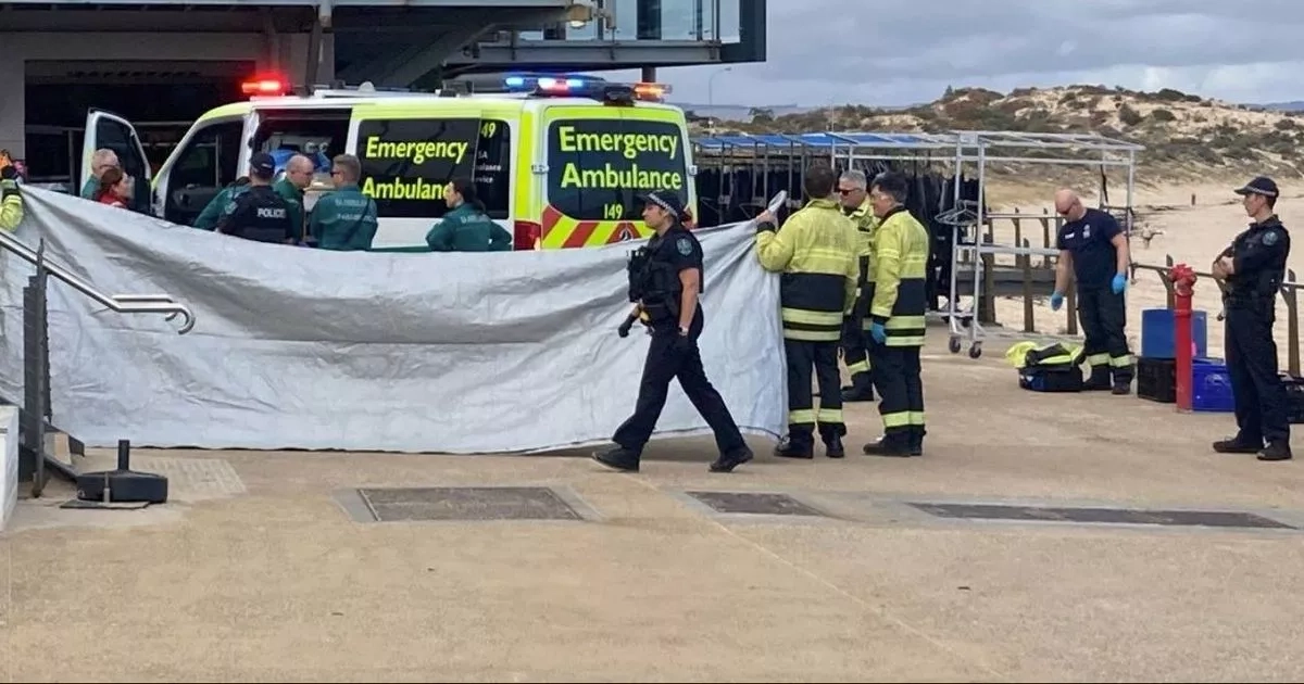 Swimmer in serious condition in hospital after being mauled by shark