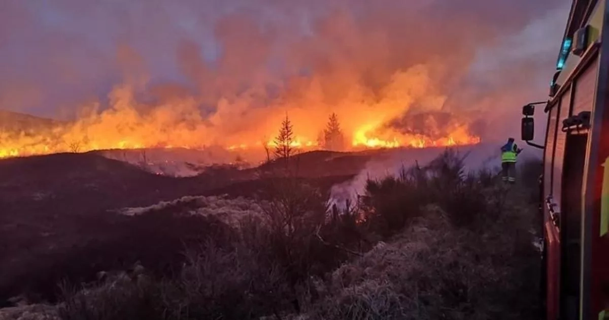 Dumfries and Galloway at extreme risk from wildfires due to hot, dry weather