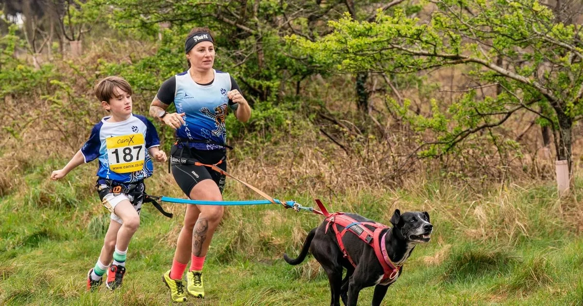 Ayrshire youngster celebrates paw-some results at prestigious Canicross event
