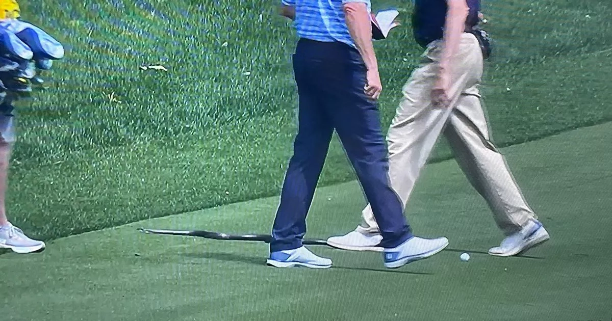 PGA Championship golf course invaded by a snake as latest Quail Hollow hurdle slithers in