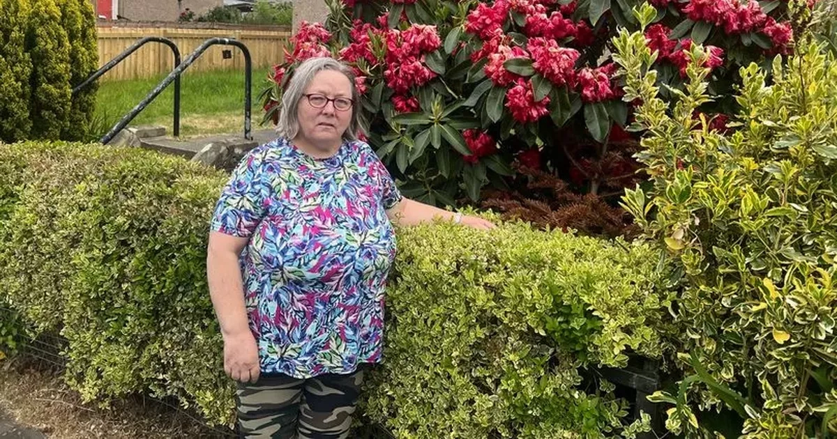 Scots pensioner fears she's being 'watched' after Christmas tree dumped in her garden